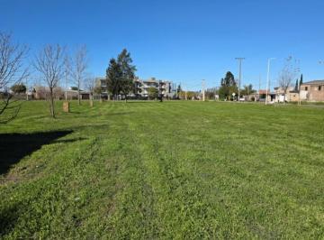 Terreno , General Lagos · Se Vende Terreno S/ruta 21 - Gral. Lagos - Uso Comercial - Residencial - Financiamos.