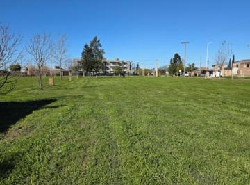 Terreno , General Lagos · Terreno en Venta S/ruta 21 - Gral. Lagos - Uso Comercial, Residencial - Financiamos.