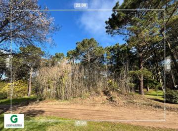 Terreno · 1100m² · Terreno - Carilo