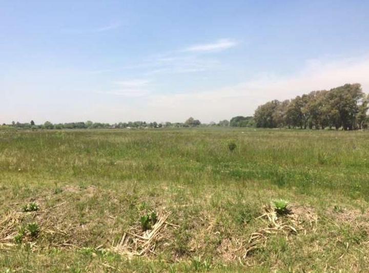 Terreno · 100000m²