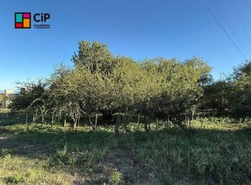 Terreno , Villa Merlo · Lote Sobre Av Dos Venados Merlo