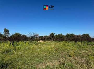 Terreno , Cortaderas · Venta de Lotes a Minutos Dique Piscu Yaco