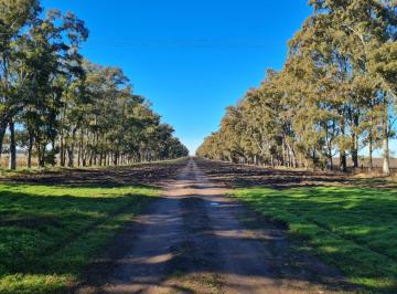 Terreno · 6900000m² · Campo en Venta 690 Has 100% Agricola a Tranquera Cerrada Cerca de Bahia Blanca y Tres Arroyos