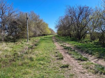 Campo , General Rodríguez · 57 Ha Próximos a Ruta 28 Pilar. G. Rodríguez