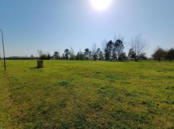 Terreno · 1000m² · Venta Lote 1000 m². en La Rinconada, Ibarlucea.