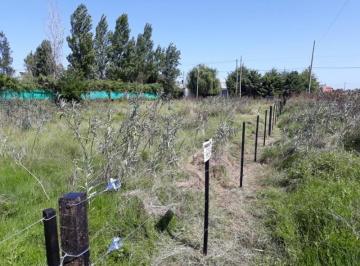 Terreno , La Plata · Se Vende Lote / Terreno 25x50 Ubicado en Calle 491 Esquina 6