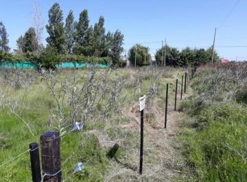 Terreno 1250m² Venta Manuel B Gonnet · Se Vende Lote / Terreno 25x50 Ubicado en Calle 491 Esquina 6 Ideal Duplexs
