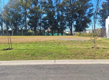 Terreno · 469m² · Rbs. Lote en Barrio Santa Elisa, Pilar del Este