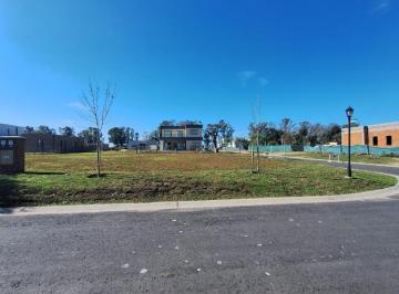 Terreno · 462m² · Rbs. Lote Interno en Barrio Santa Elisa, Pilar del Este.