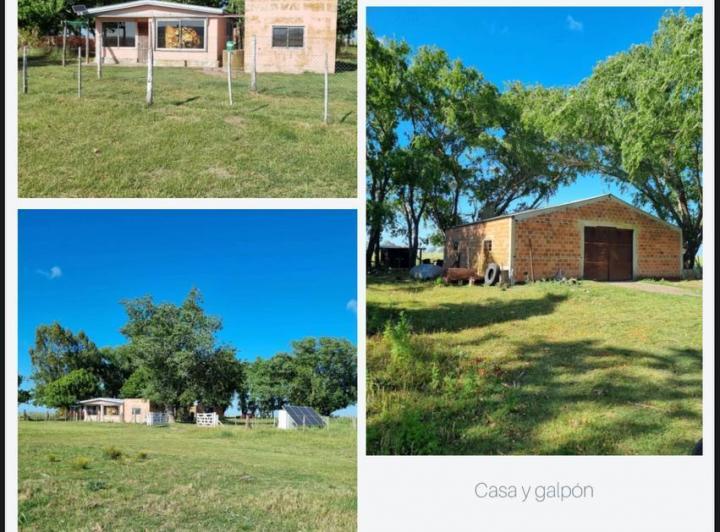 Campo · 10500000m²