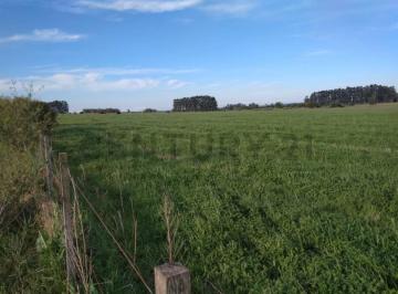 Campo · 27m² · Venta Campo en Lavalleja de 26,5 Hectáreas. Ruta 12 Km.306