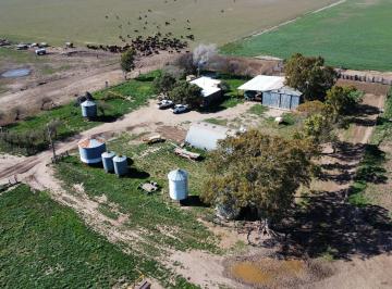 Campo de 6 ambientes, Puan · Campo de 500 Has, Villa Iris, Provincia de Buenos Aires.