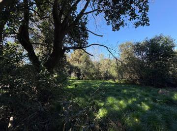 Terreno , Ezeiza · Lote en Venta y en Alquiler en Canning - Sobre Chagas