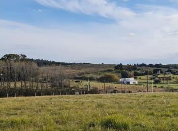 Terreno · 53000m² · Importante Predio en Avda. Calihue Circuito Turistico Tandil