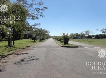 ROJ-ROJ-98_2 · Lote Sobre Calle Ppal. Fondo Especial con Laguna Armada