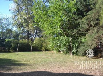 ROJ-ROJ-135_2 · Lote en Benavidez Calle Corsini