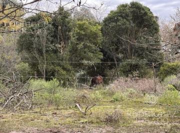 ROJ-ROJ-499_2 · Terreno en Venta Loma Verde, Escobar