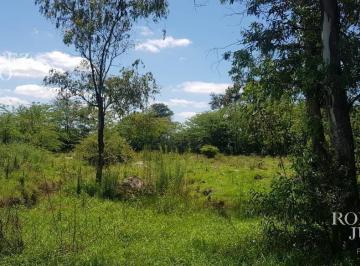 ROJ-ROJ-528_2 · Lote. | La Pampa
