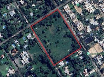 ROJ-ROJ-537_2 · Terreno - Benavidez Lote de 15.000 m² Zonificación R1a