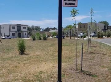 ROJ-ROJ-543_2 · Lote en Venta Pilar del Este - Santa Elisa