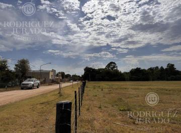 ROJ-ROJ-544_2 · Lote. | Alberdi y Rosa de Giles - San Antonio de Areco