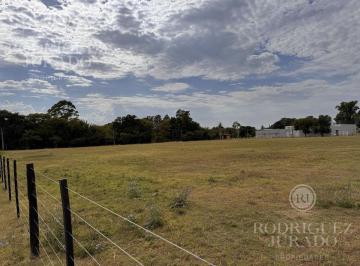 ROJ-ROJ-545_2 · Lote. | Alberdi y Rosa de Giles - San Antonio de Areco