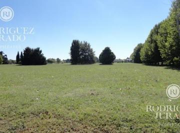 ROJ-ROJ-572_2 · Terreno - Haras San Pablo
