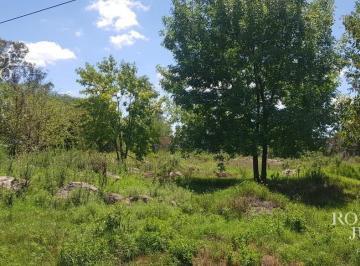 ROJ-ROJ-637_2 · Terreno - Benavidez Lote de 2500 m²