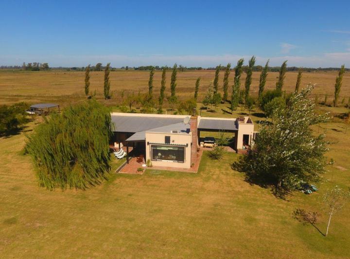 Campo · 140ha
