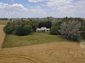 ROJ-ROJ-644_2 · Campo de 27ha San Antonio de Areco