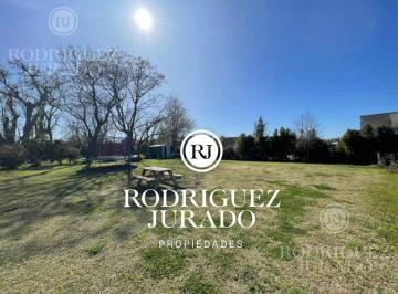 ROJ-ROJ-540_2 · Lote Interno en San Matias Area 4