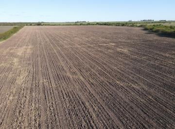 Campo , Gualeguaychú · 20 Hectáreas Agrícolas Sobre Ruta, Gualeguaychú