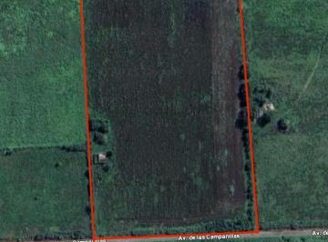Campo · 60000m² · Campo de 6 Hectáreas en Perez