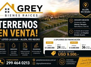 Terreno , Allen · Terrenos de 12,50 m X 24 m en Allen – Río Negro Loteo La Luisa