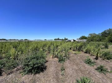 Terreno · 54000ha · Ha - Terrenos en Venta en City Bell