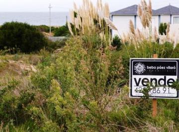 BPV-BPV-10663_2 · Lote | Fuente Ovejuna