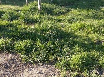 Terreno , Santa Clara del Mar · Terreno en Venta en Santa Clara del Mar