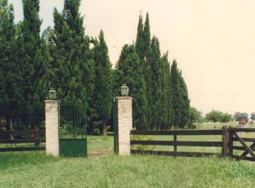Campo · 470000m² · Lni 285 - Fatima - 47 Ha