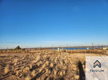 Terreno · 500ha · Terreno / Lote en Venta de 500 m² Ubicado en El Carrizal