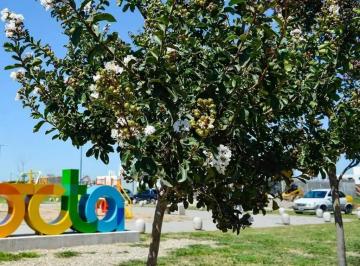 Foto · Lote en Venta Docta
