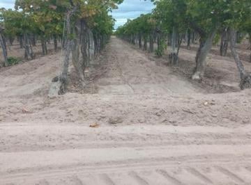 Campo , Santa Rosa · Contacto Propiedades Inmobiliaria Vende Finca en Santa Rosa - 12 de Octubre