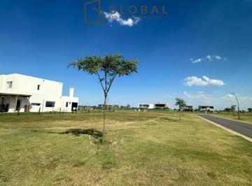 Terreno · 704m² · Lote