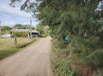 Terreno · 300m² · ¡Lote de 8,66 X 34,64 en Sicardi!