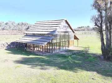 Campo de 1 ambiente, Luján · Campo de 3 Ha en Barrio Nuevo (Lujan)