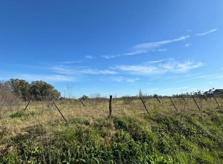 Terreno · 10000m²