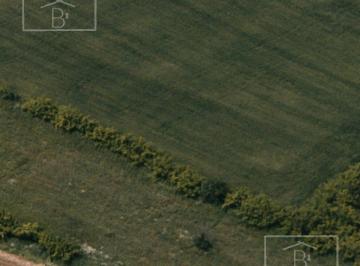 Campo · 1000000m² · Campo de 100 Ha en Venta en Canning - Ezeiza