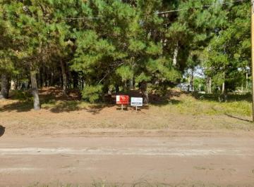 Terreno · 1000m² · Lote en Barrio Ezcurra "Nuevo"