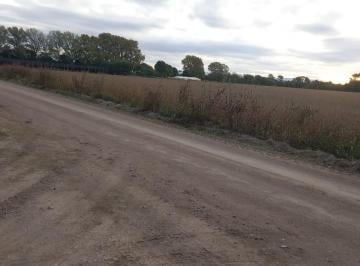 Campo de 1 ambiente, Colonia Caroya · Venta 5,3 Hectáreas en Colonia Caroya