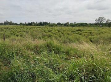 JSP-JSP-4631_2 · Venta de Lote en Arturo Seguí La Plata