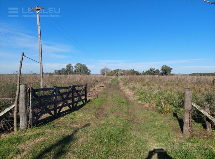 Campo · 90000m²